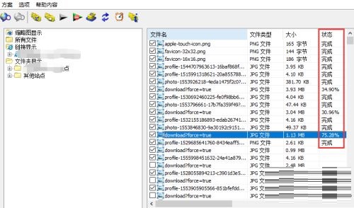 IDM下载器如何批量下载图片
