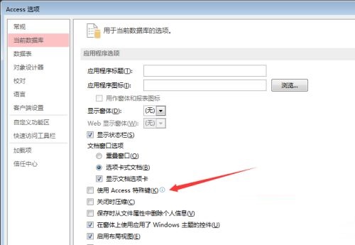 Access怎么使用access特殊键