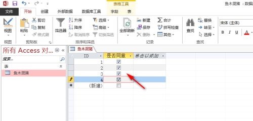 Access复选框怎么设置
