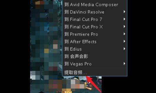 arctime可以提取音频吗