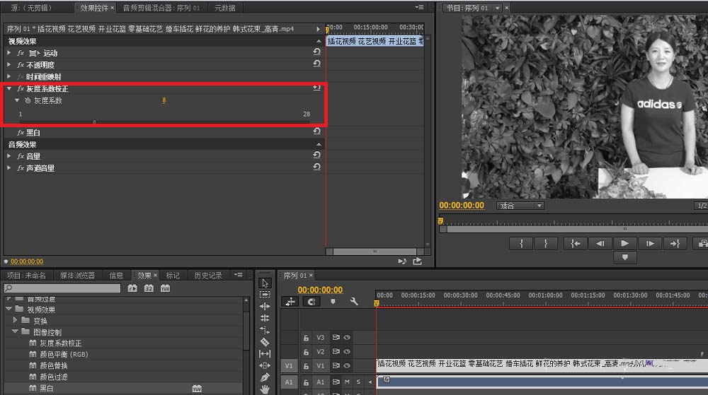 premiere怎么给视频去色
