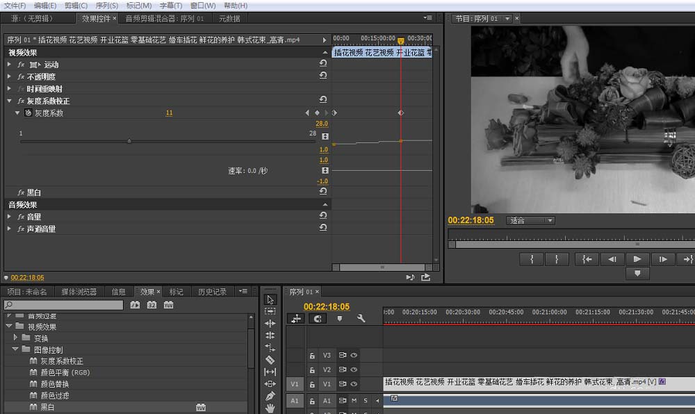 premiere怎么给视频去色