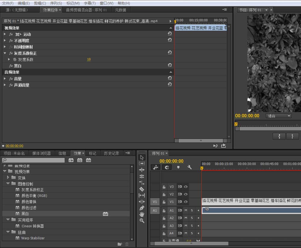 premiere怎么给视频去色
