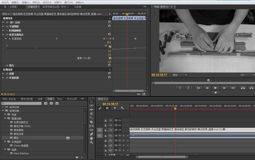 premiere怎么给视频去色