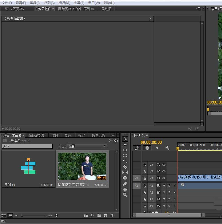 premiere怎么给视频去色