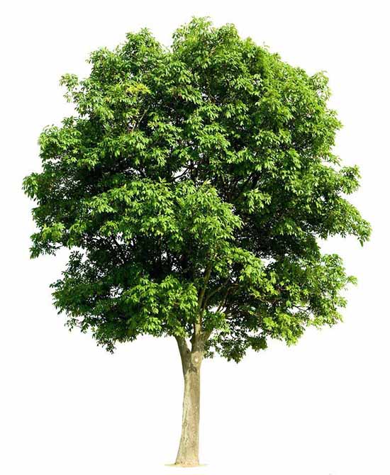 Premiere怎么制作漂亮的多重曝光效果