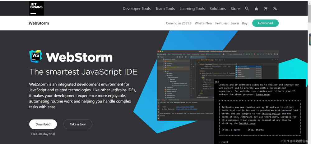 webstorm2021.2.3怎么下载安装