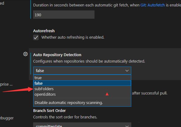 Visual Studio Code怎么关闭自动存储库检测子文件夹