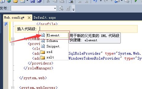 Visual Studio 2019怎么插入代码段