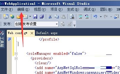 Visual Studio 2019怎么插入代码段
