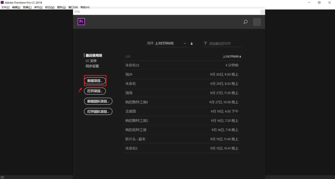 premiere视频画面怎么进行局部水平翻转