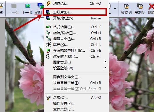 ACDSee怎么设置自动以幻灯片方式播放图片