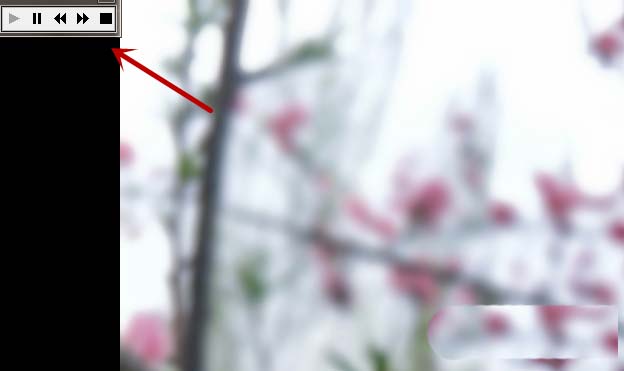 ACDSee怎么设置自动以幻灯片方式播放图片