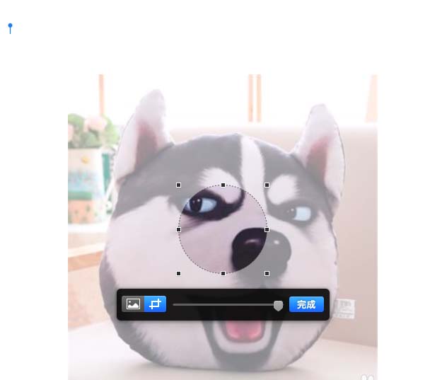 pages怎么遮盖图片实现裁剪效果