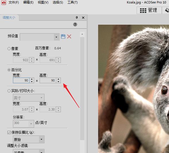 acdsee怎么调整图片的分辨率