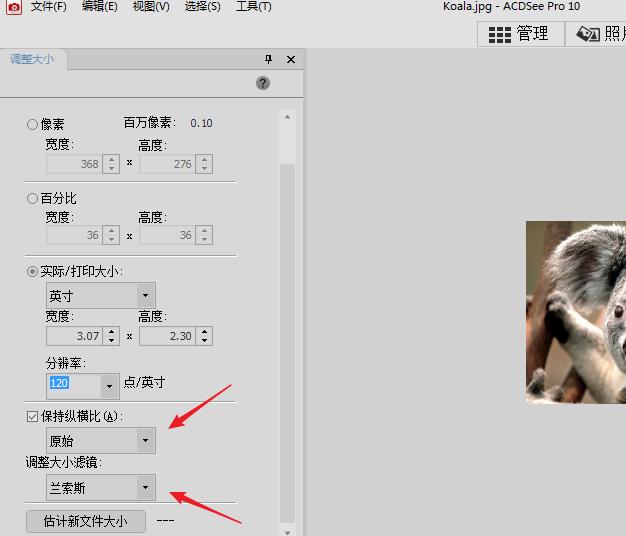 acdsee怎么调整图片的分辨率