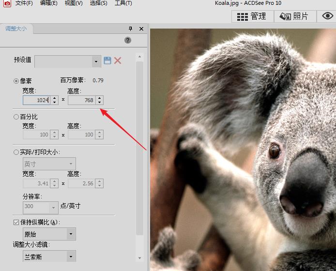 acdsee怎么调整图片的分辨率