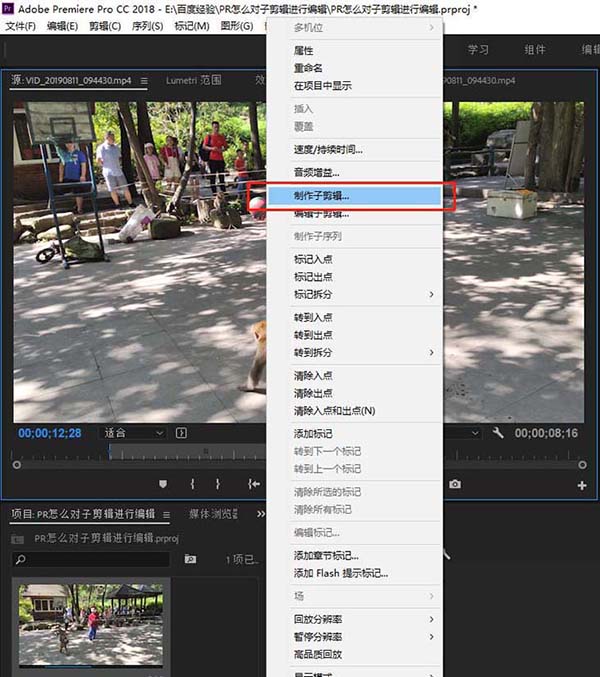 premiere视频怎么创建子剪辑并编辑