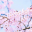 樱花导航-梦开...